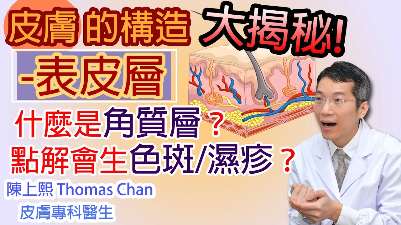 Read more about the article 皮膚的結構表皮層大揭秘！點解會生色斑/濕疹？